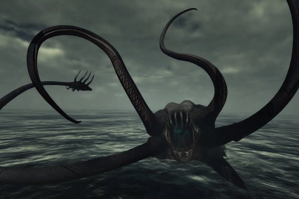 Kraken 19 at